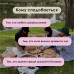 Настольная игра с вопросами Cobart СS-CG-005, Talk time. Друзья и семья (СS-CG-005-RT)