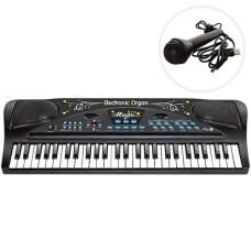 Детский синтезатор с микрофоном HS5411 S, обучающий, 54 клавиши (HS5411-RT)