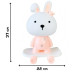 Ночник детский от сети Mega Zayka MGZ-1407 P Зайчик на скейте (MGZ-1407 Pink-RT)