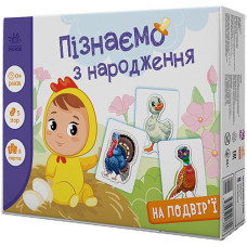 Детская развивающая игра Ranok Creative 264014 Изучаем с рождения. Во дворе (264014-RT)