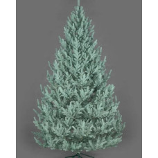 Искусственная елка SIGA Ukraine Лесная Виденская Премиум 150 см Полипропилен с металлической подставкой Голубой (BEL-ЛВЕ15Г)