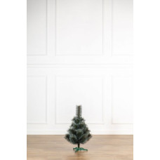 Сосна Засніжена 0,75 м Сосна Засніжена 0,75 м