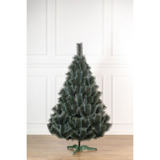 Сосна Засніжена 1,8 м