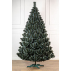 Сосна Засніжена 2,5 м