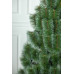 Сосна Мікс Засніжена 2,5 м
