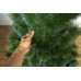 Сосна Мікс Засніжена 1,8 м