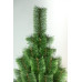 Сосна Розпушена 2,5 м