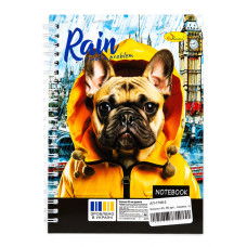 Блокнот для записей Rain is not a problem АП-1708-2 А5, 80 листов, пружина сбоку