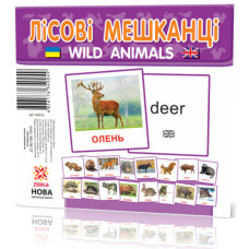 Развивающие карточки 