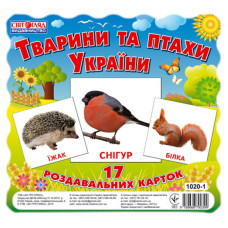 Детские развивающие карточки 