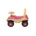 Детская машинка толокар Doloni Toys 0141/07 B для девочки (0141/07-RT)